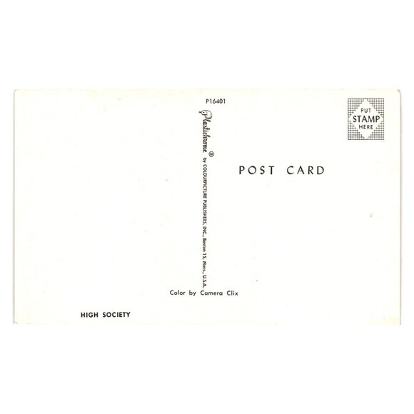 High Society Cats Postcard Colourpicture Publishers Boston USA Vintage P16401 - Picture 2 of 2